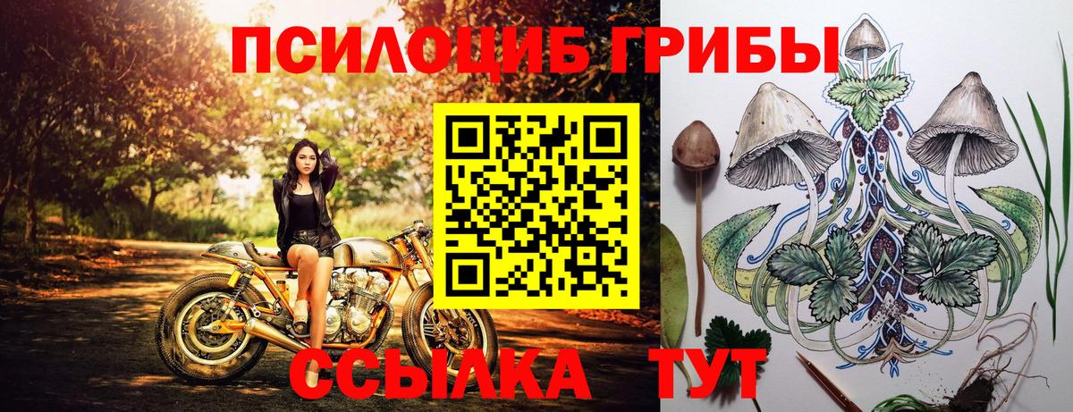 Орёл  Галлюциногенные грибы ЛСД  Вход с VPN  Галлюциногенные грибы прущие грибы 