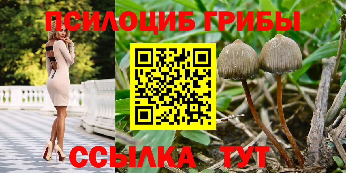 Псилоцибиновые грибы мицелий Орёл